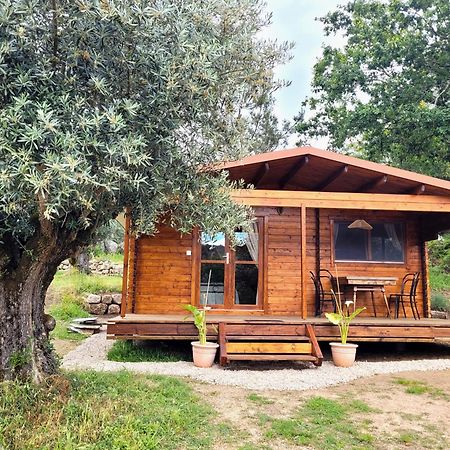Encontro No Rio Bed and Breakfast Póvoa de Midões Εξωτερικό φωτογραφία