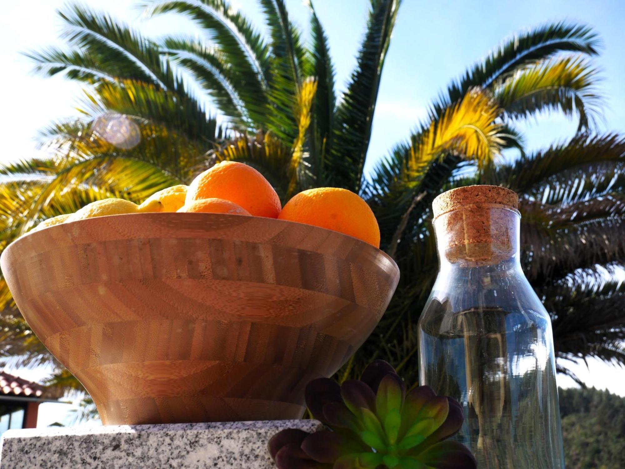 Encontro No Rio Bed and Breakfast Póvoa de Midões Εξωτερικό φωτογραφία