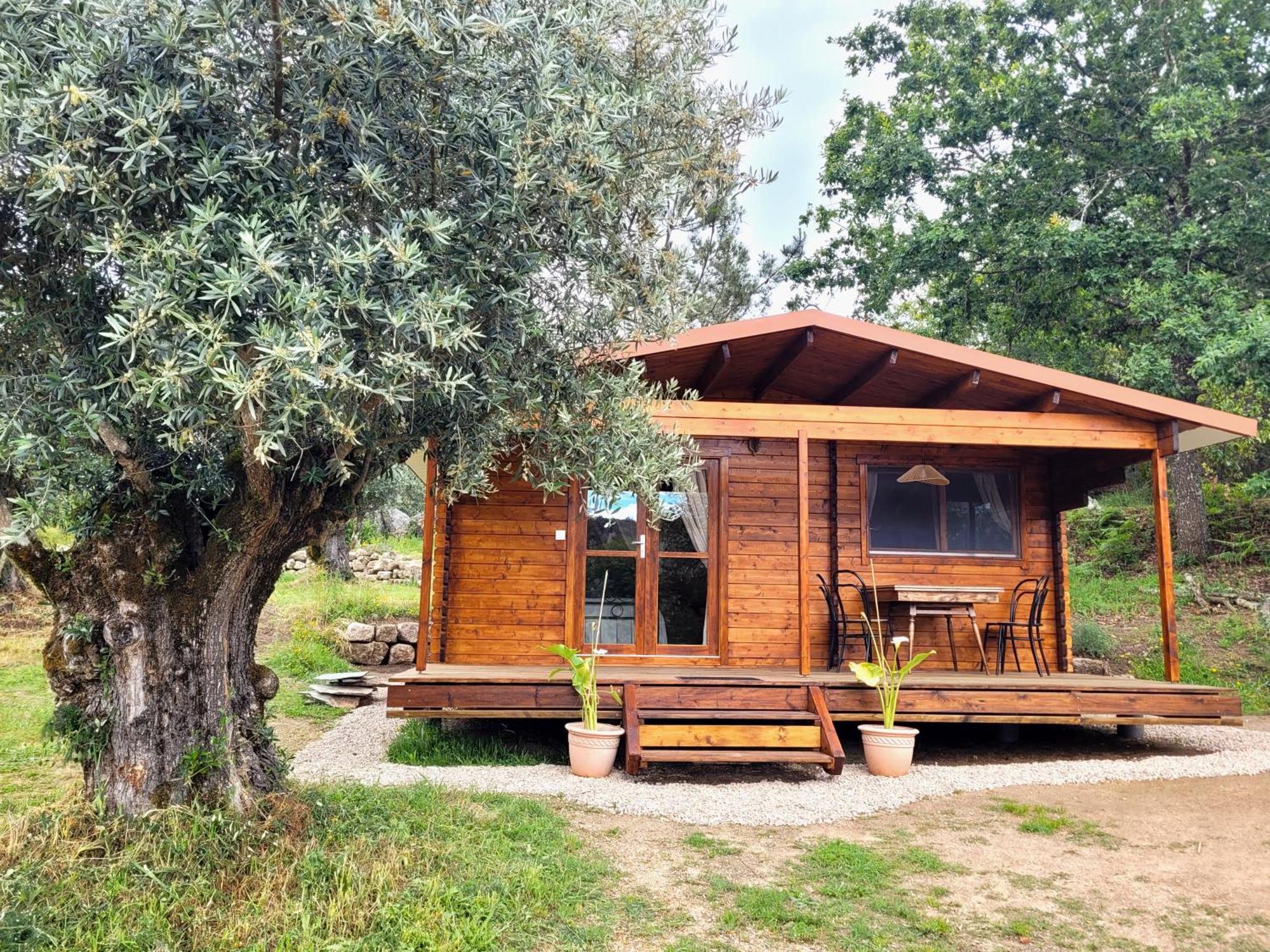 Encontro No Rio Bed and Breakfast Póvoa de Midões Εξωτερικό φωτογραφία
